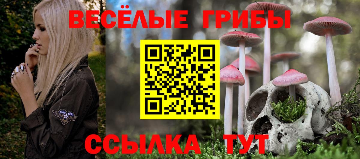 магазин продажи   Вход с VPN  Чусовой  Галлюциногенные грибы мицелий 
