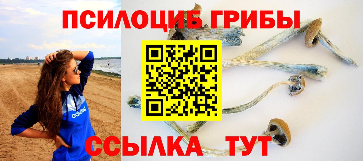 Псилоцибиновые грибы Magic Shrooms Чусовой